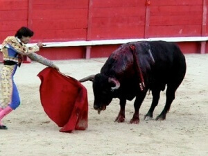 400-bullfight-e1459867827478