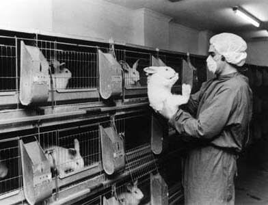 Journée pour les animaux dans les laboratoires : pourquoi est-elle vitale ?