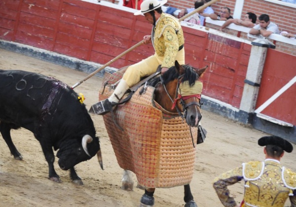 Empêchez les taureaux de se faire tuer dans les corridas