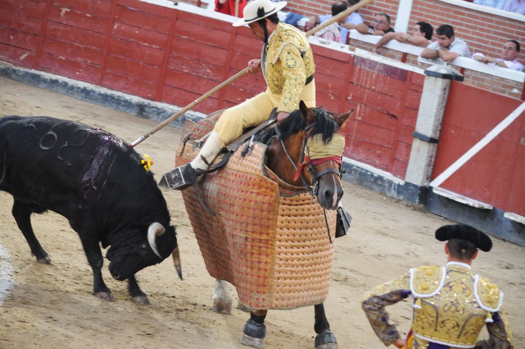 Empêchez les taureaux de se faire tuer dans les corridas