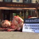 Hermès Manifestation