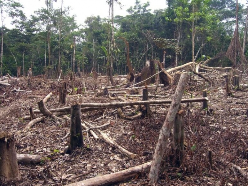 Environment