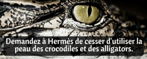 Demandez à Hermès de cesser d'utiliser la peau des crocodiles et des alligators.