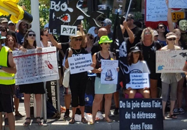 Marineland nage à contre-courant