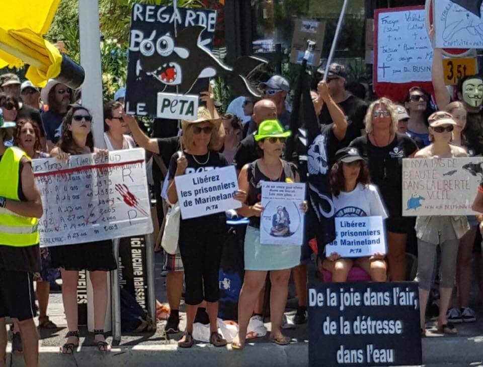 Marineland nage à contre-courant