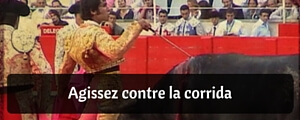 corrida agir