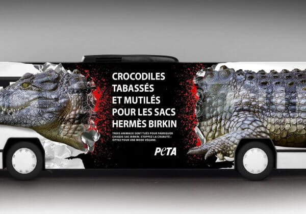 On peut massacrer des crocodiles pour des sacs à main mais pas en informer le public