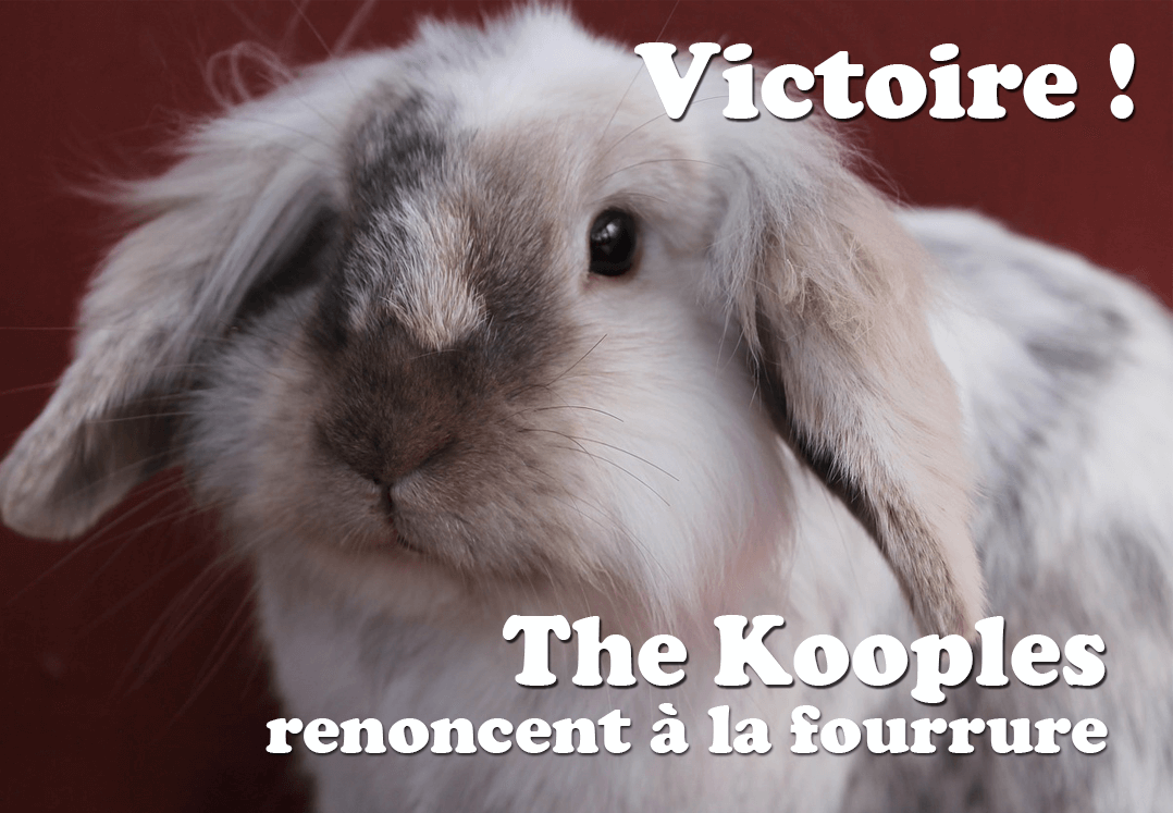 VICTOIRE : The Kooples largue la fourrure !