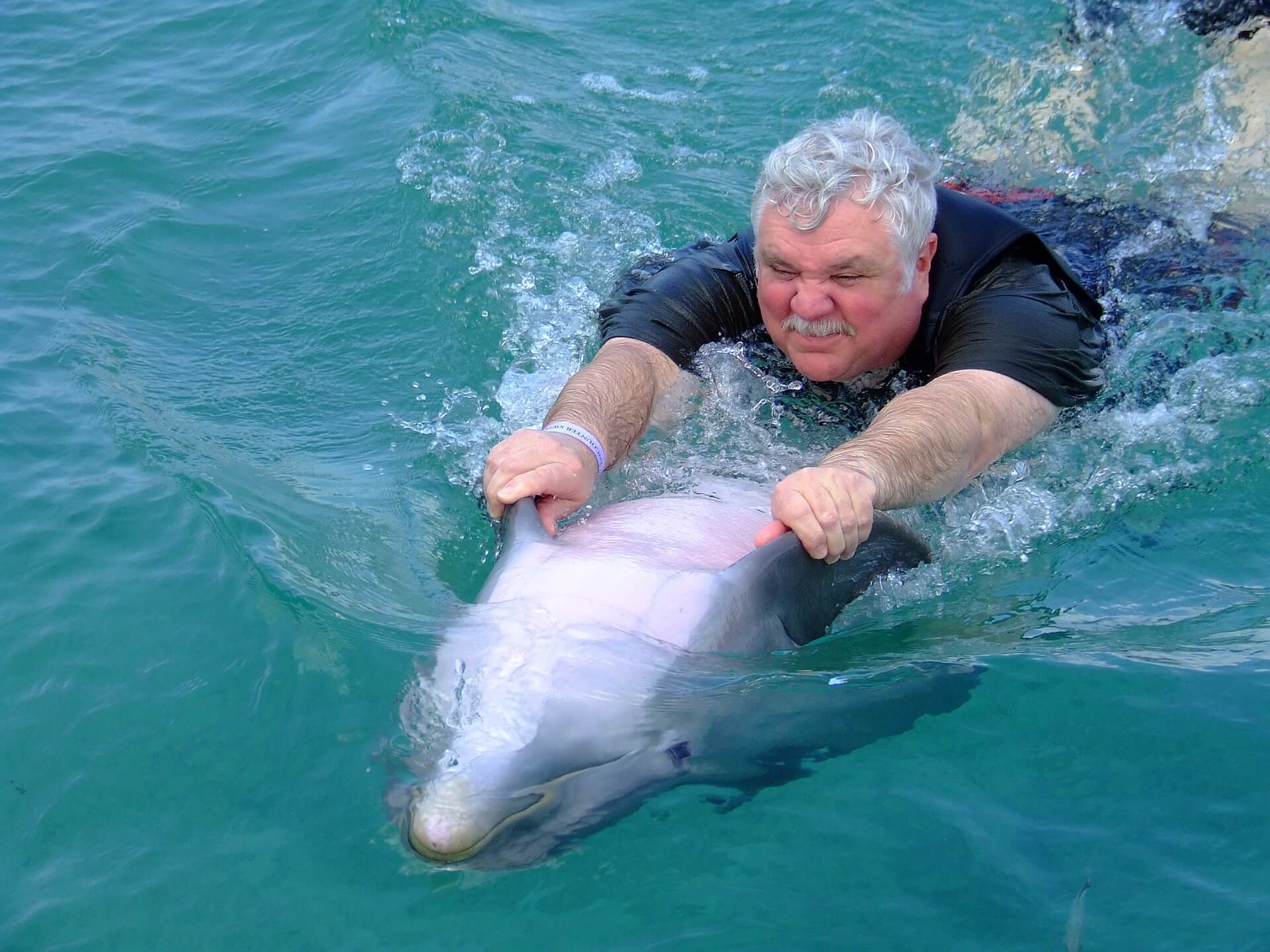 dauphin nager tourisme