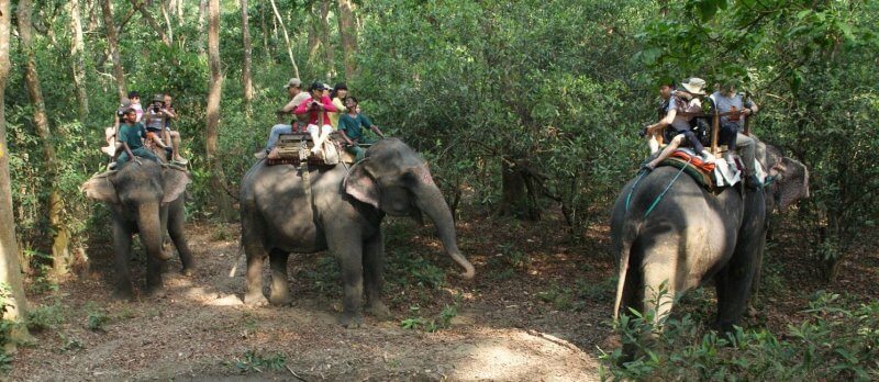 éléphant promenade dos tourisme