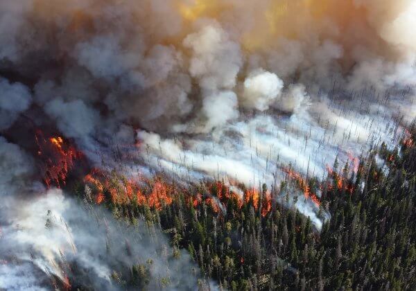 16 faits qui montrent comment devenir végan aide à arrêter le changement climatique