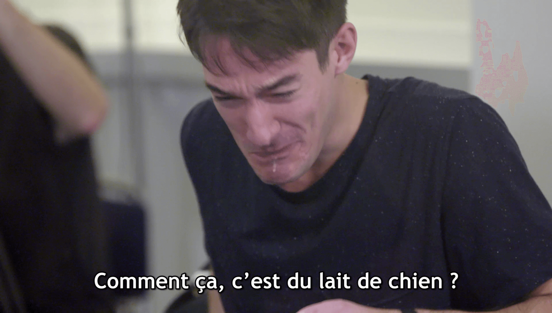Des gens découvrent qu&rsquo;ils viennent de boire du lait de chienne…