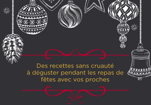 Dévorez notre livret de recettes illustrées pour des fêtes véganes