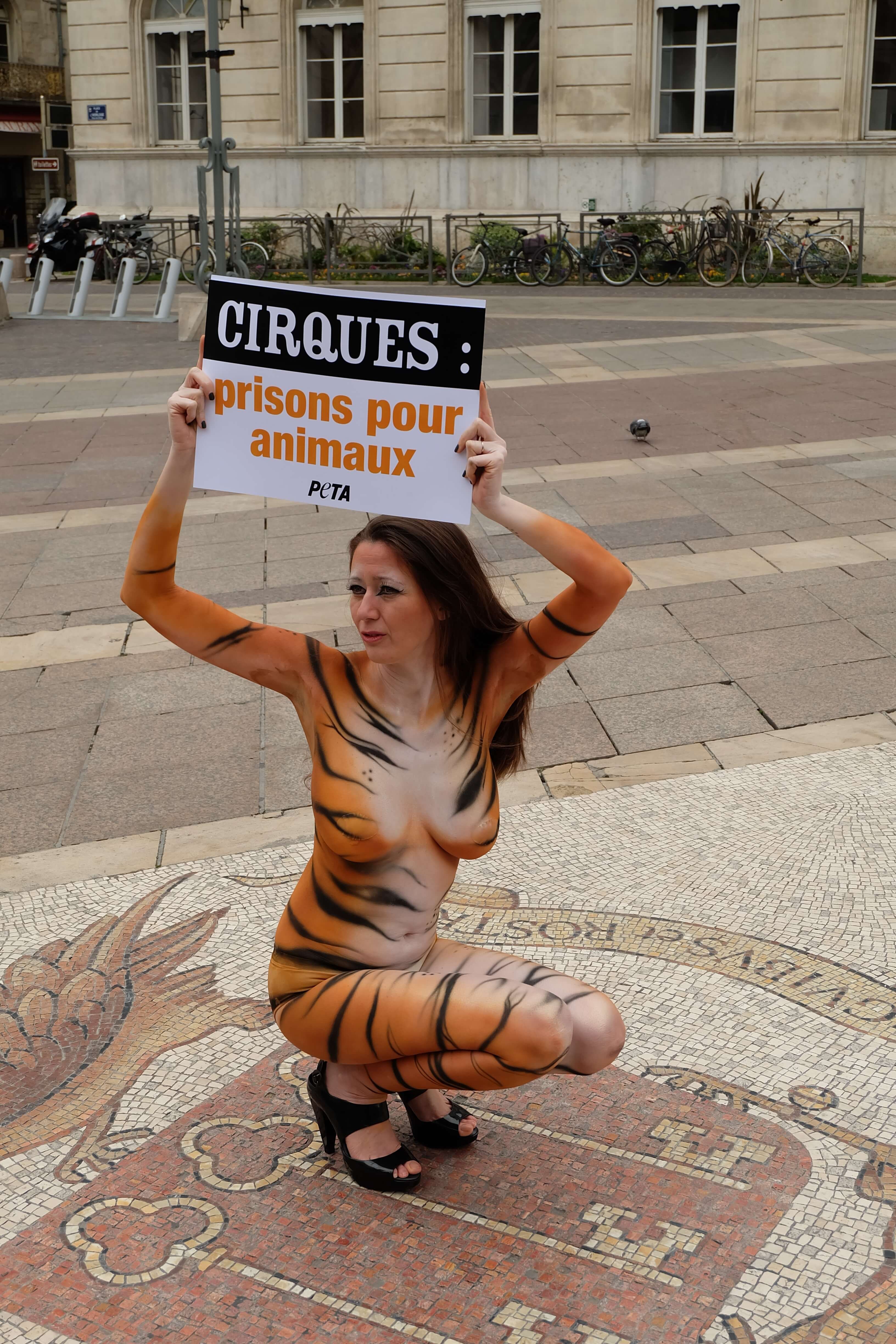 Une militante nue de PETA peinte en tigresse appelle Avignon à interdire les cirques avec animaux