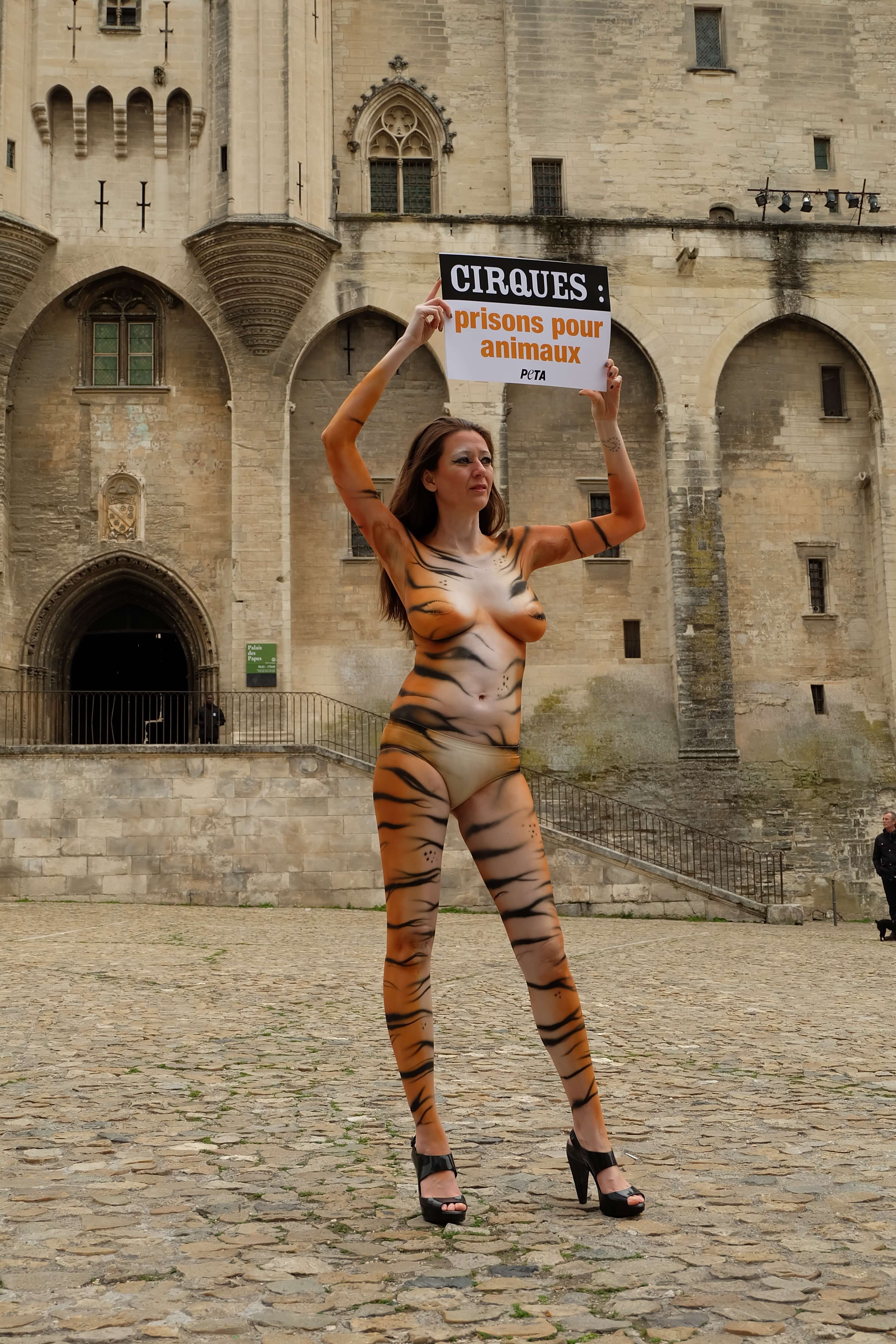 Pourquoi j'ai parcouru nue les rues d'Avignon pour les animaux captifs des  cirques - Actualités - PETA France