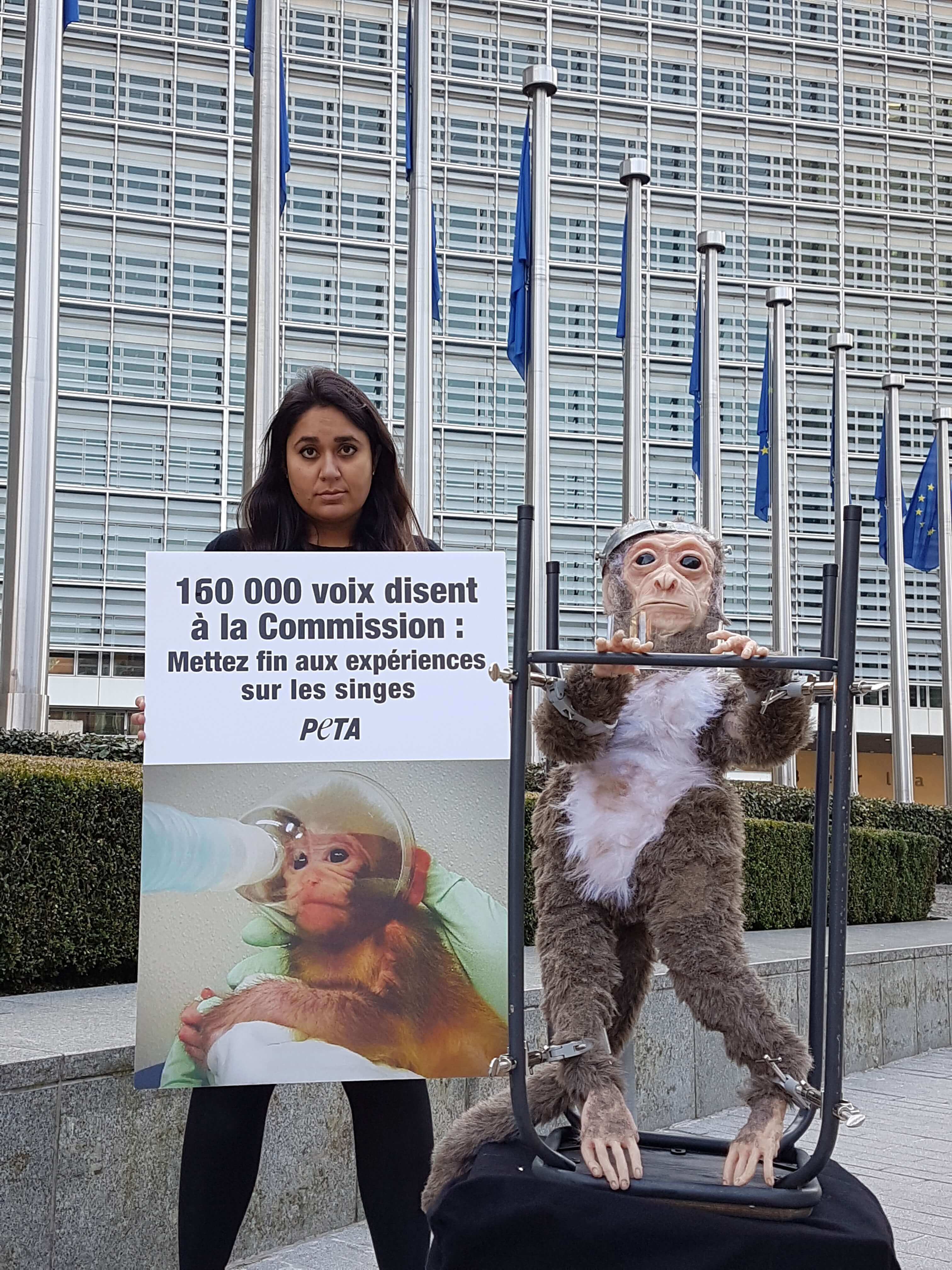 Des manifestants de PETA amènent un « singe » qui a été blessé et tourmenté à la Commission européenne