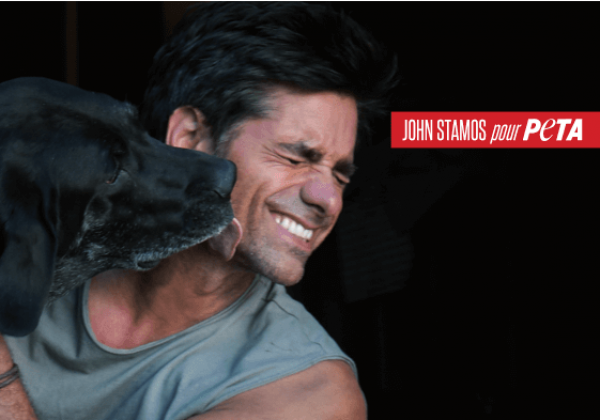 L&rsquo;acteur John Stamos dans une campagne de PETA pour l&rsquo;adoption d&rsquo;animaux