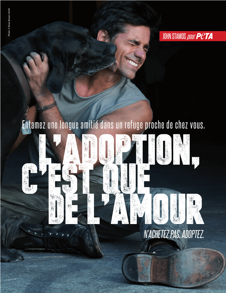 L&rsquo;acteur John Stamos dans une campagne de PETA pour l&rsquo;adoption d&rsquo;animaux