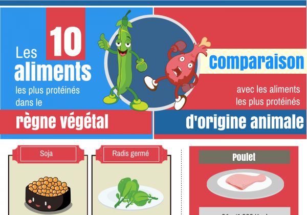 Et les protéines ?