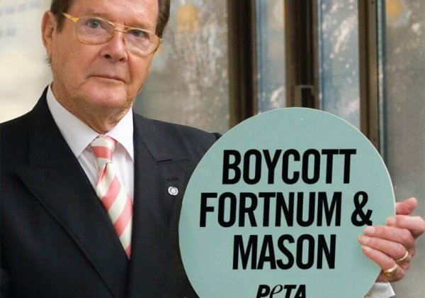 Roger Moore : l’espion qui les aimait