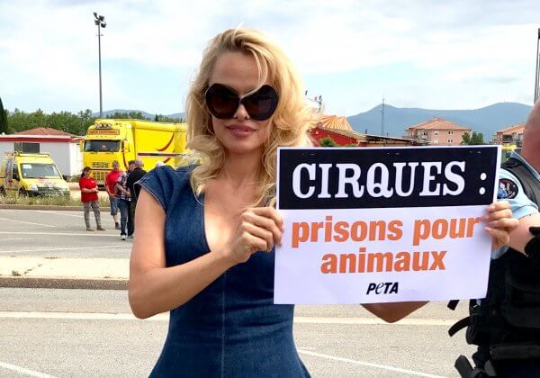 Pamela Anderson proteste devant un cirque dans le Var