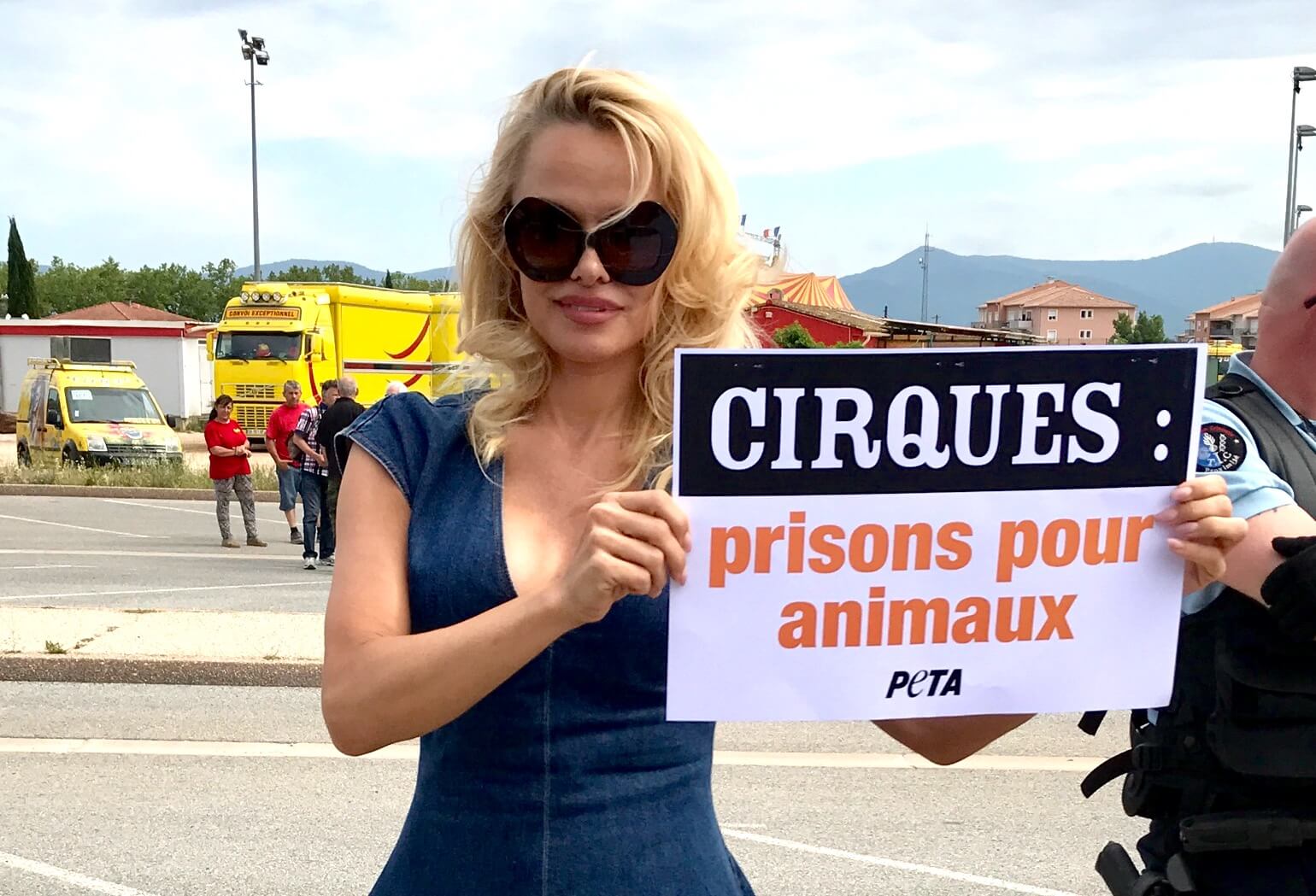 Pamela Anderson demande à TOUS les maires de France d’interdire les cirques animaliers