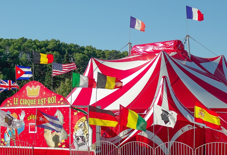 Victoire : Valence se positionne contre les cirques avec animaux sauvages !