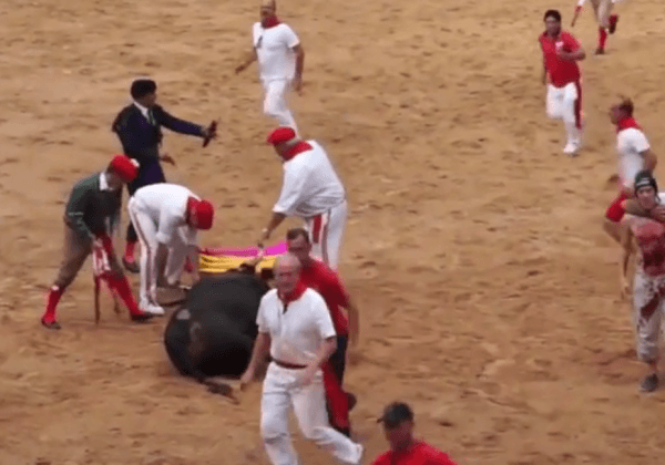 ACTION : des militants sautent dans l’arène pour protester contre les corridas et leur cruauté barbare