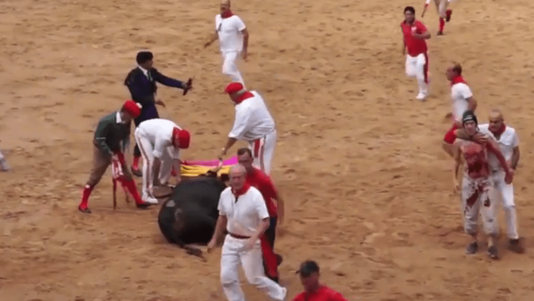 ACTION : des militants sautent dans l&rsquo;arène pour protester contre les corridas et leur cruauté barbare