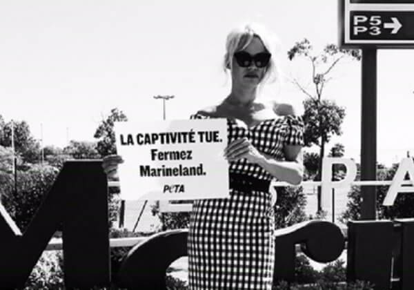 Pamela Anderson se rend au Marineland pour dénoncer la souffrance des orques
