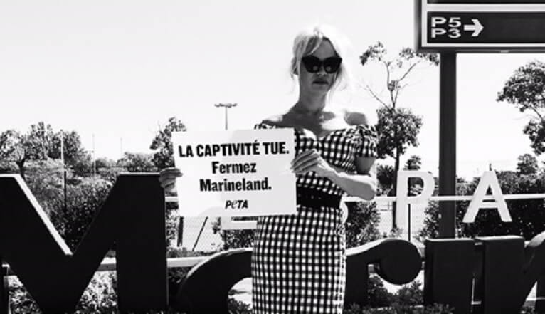 Pamela Anderson se rend au Marineland pour dénoncer la souffrance des orques