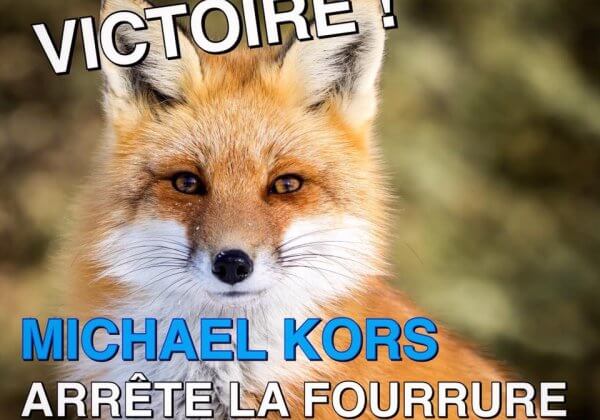 Victoire : Michael Kors arrête la fourrure !