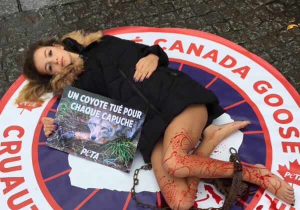 « Piegée » et « ensanglantée », la célèbre instagrameuse Cassandra Foret dénonce la cruauté de Canada Goose