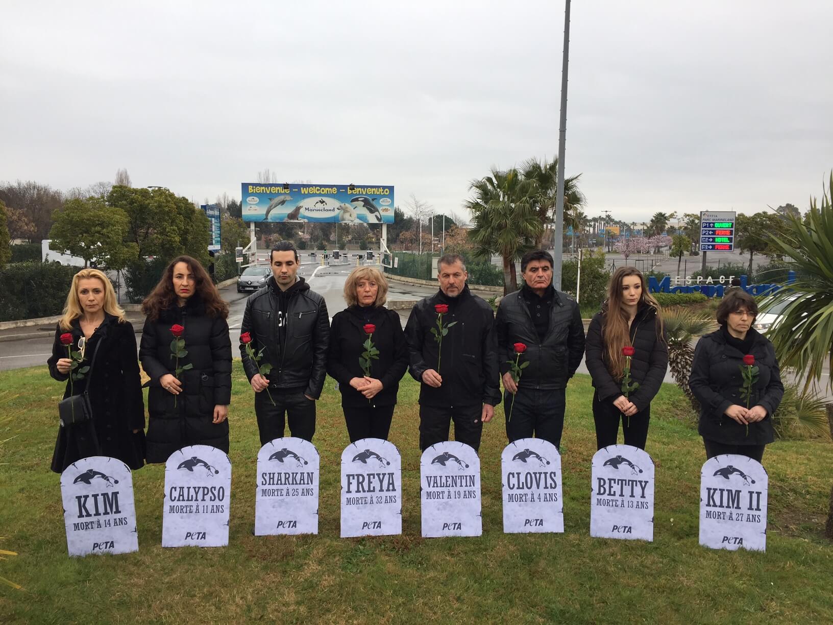 PETA installe un cimetière devant Marineland pour dire que la captivité tue