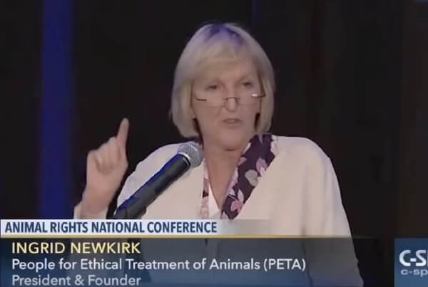 Défendons les droits de TOUS les animaux victimes d&rsquo;exploitation