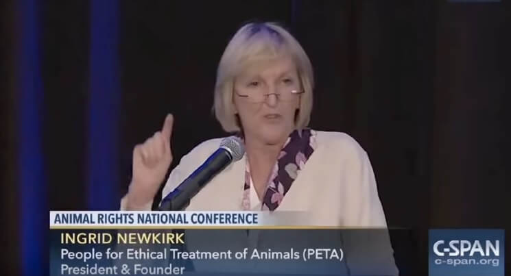Défendons les droits de TOUS les animaux victimes d&rsquo;exploitation