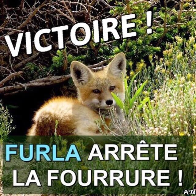 Victoire ! Furla et Versace renoncent à la fourrure animale