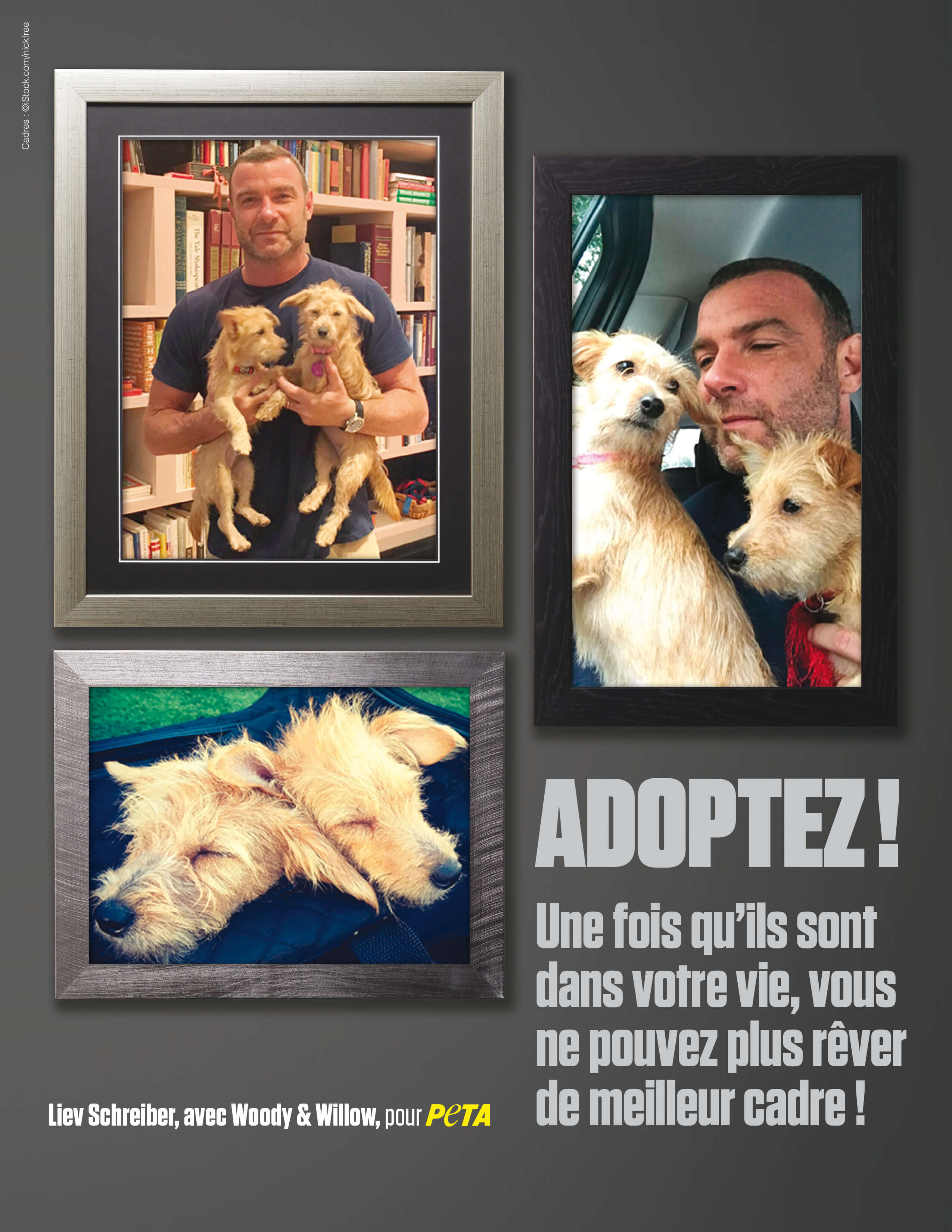 Liev Schreiber et ses chiens rescapés de l’ouragan Harvey posent pour PETA
