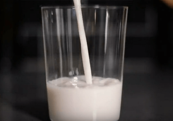 Le parcours inverse du lait de vache : de la bouteille au pis