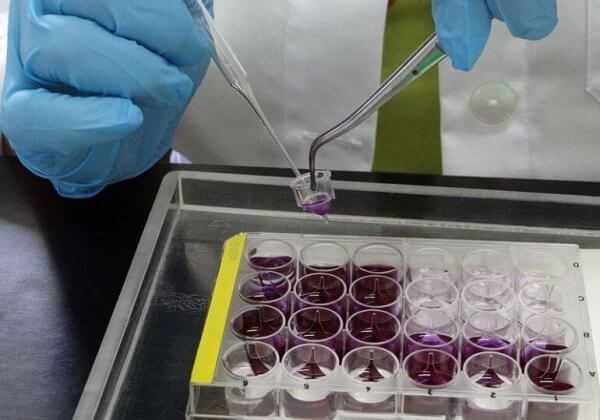 Un scientifique après l&rsquo;autre, le Science Consortium fait progresser les méthodes de recherche non-animales