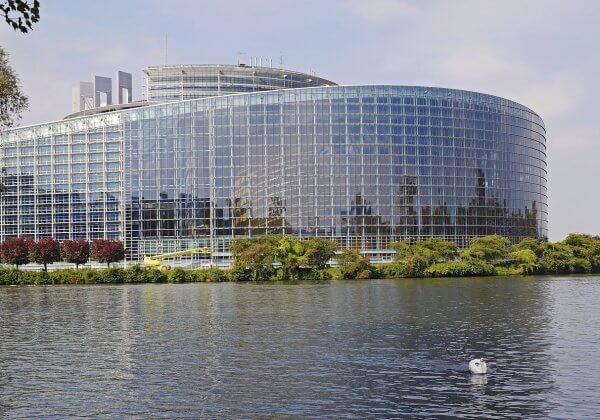 Des nouvelles de la campagne : le Parlement européen fait passer la pétition de PETA au stade supérieur