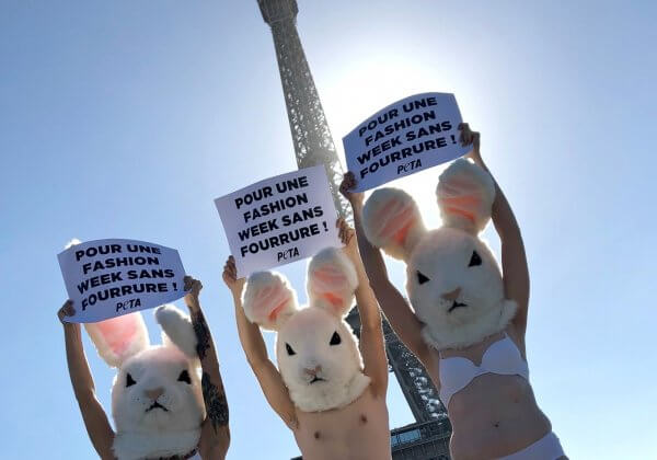 Des « lapins géants » demandent « Une Paris Fashion Week sans fourrure ! »