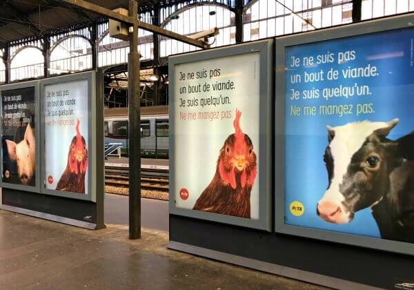 Des animaux envahissent la Gare Saint-Lazare pour sensibiliser les voyageurs