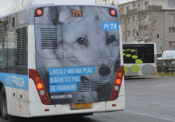 Une campagne anti-fourrure parcourt les rues de Luxembourg