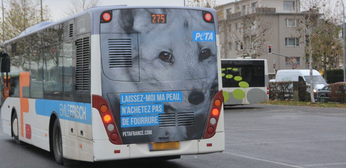 Une campagne anti-fourrure parcourt les rues de Luxembourg