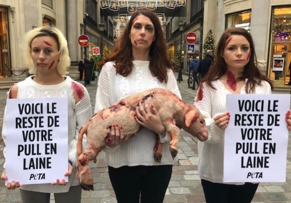 La « dépouille » d&rsquo;un mouton exploité pour sa laine exhibée devant les grands magasins