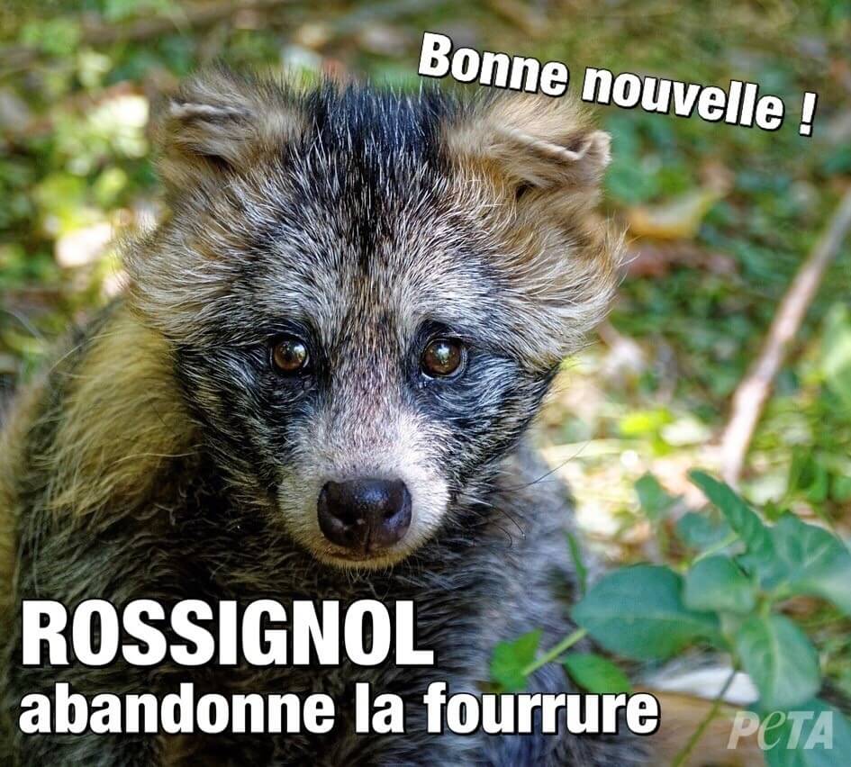 Excellente nouvelle : Rossignol ne se fournira plus en fourrure animale