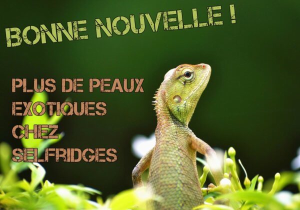 Un célèbre grand magasin britannique bannit les peaux exotiques