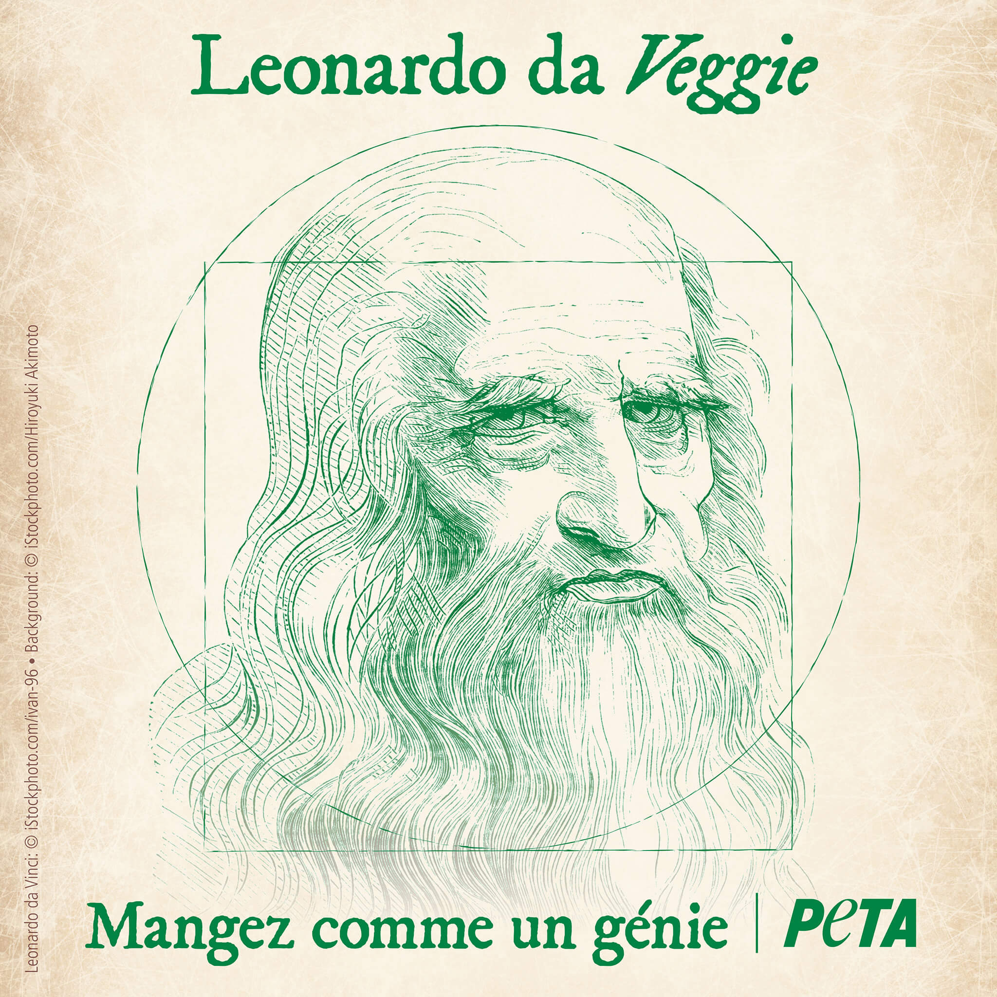 Léonard de Vinci avait 500 ans d’avance en terme de cause animale