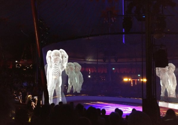 Au lieu d’exploiter des animaux, ce cirque utilise… des hologrammes